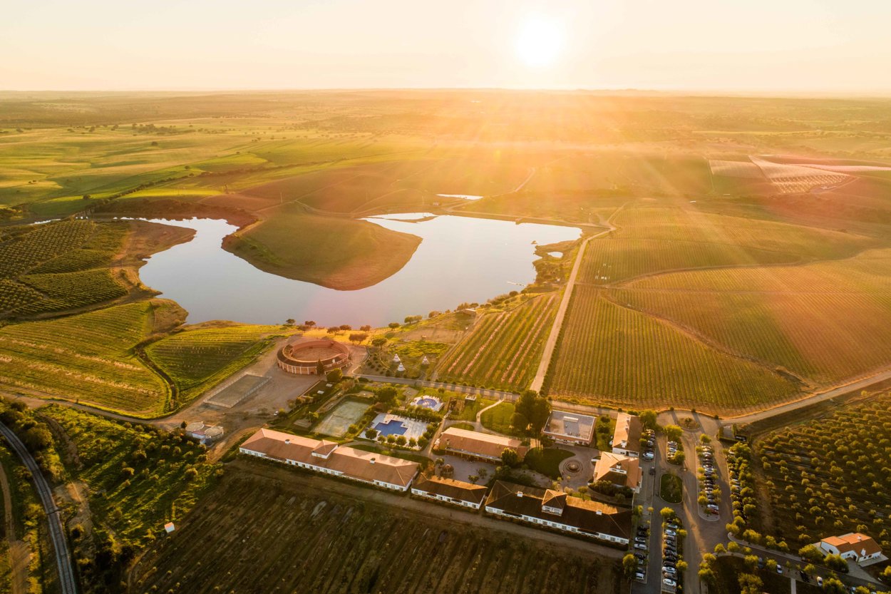 Hotel Vila Galé Alentejo Vineyards - Aerial View