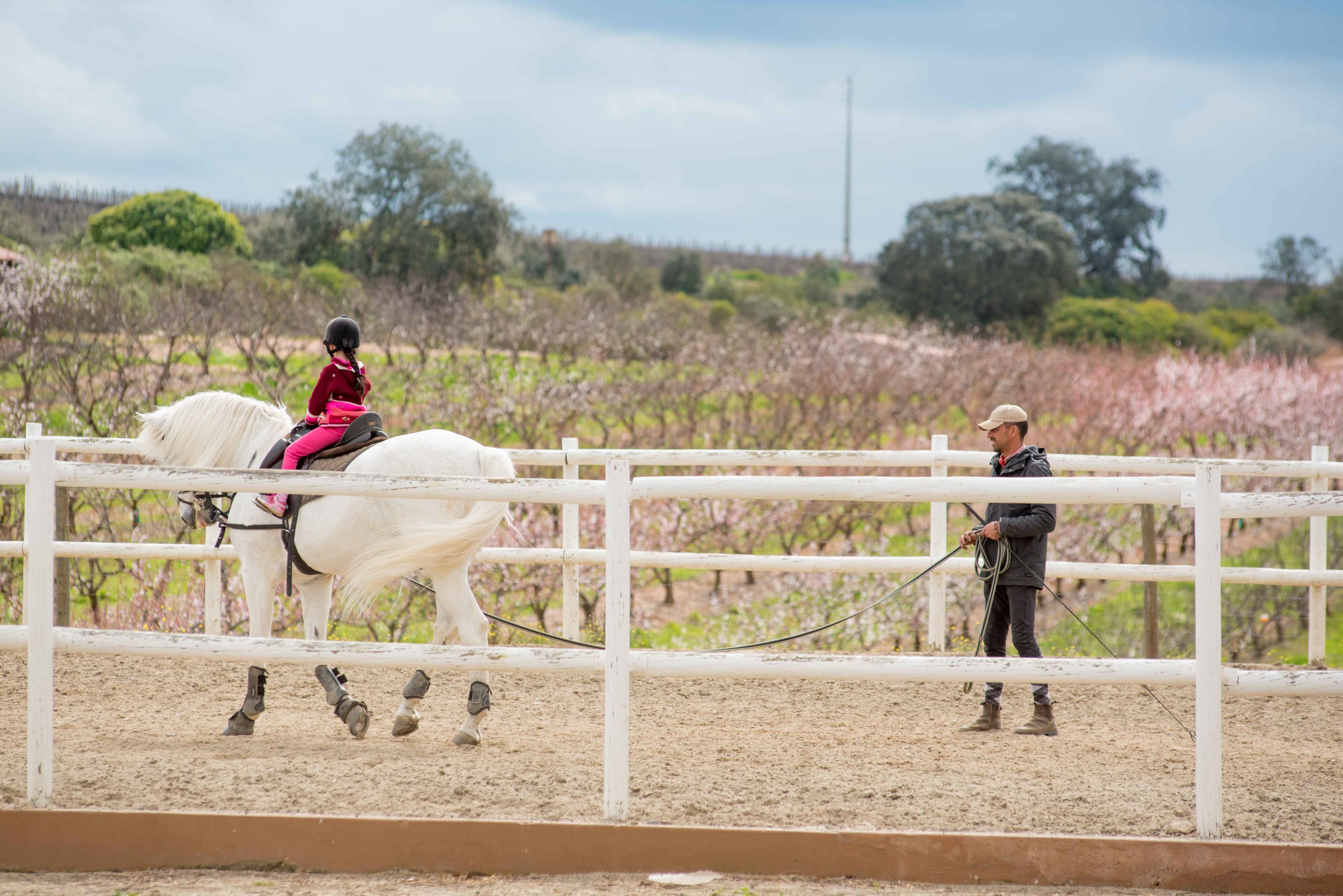 Hotel Vila Galé Alentejo Vineyards - Atividades Equestres