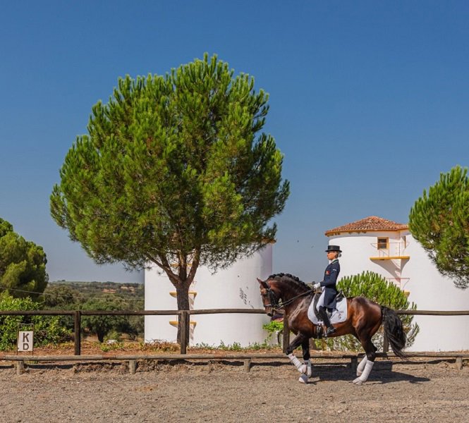 Equestrian Experiences