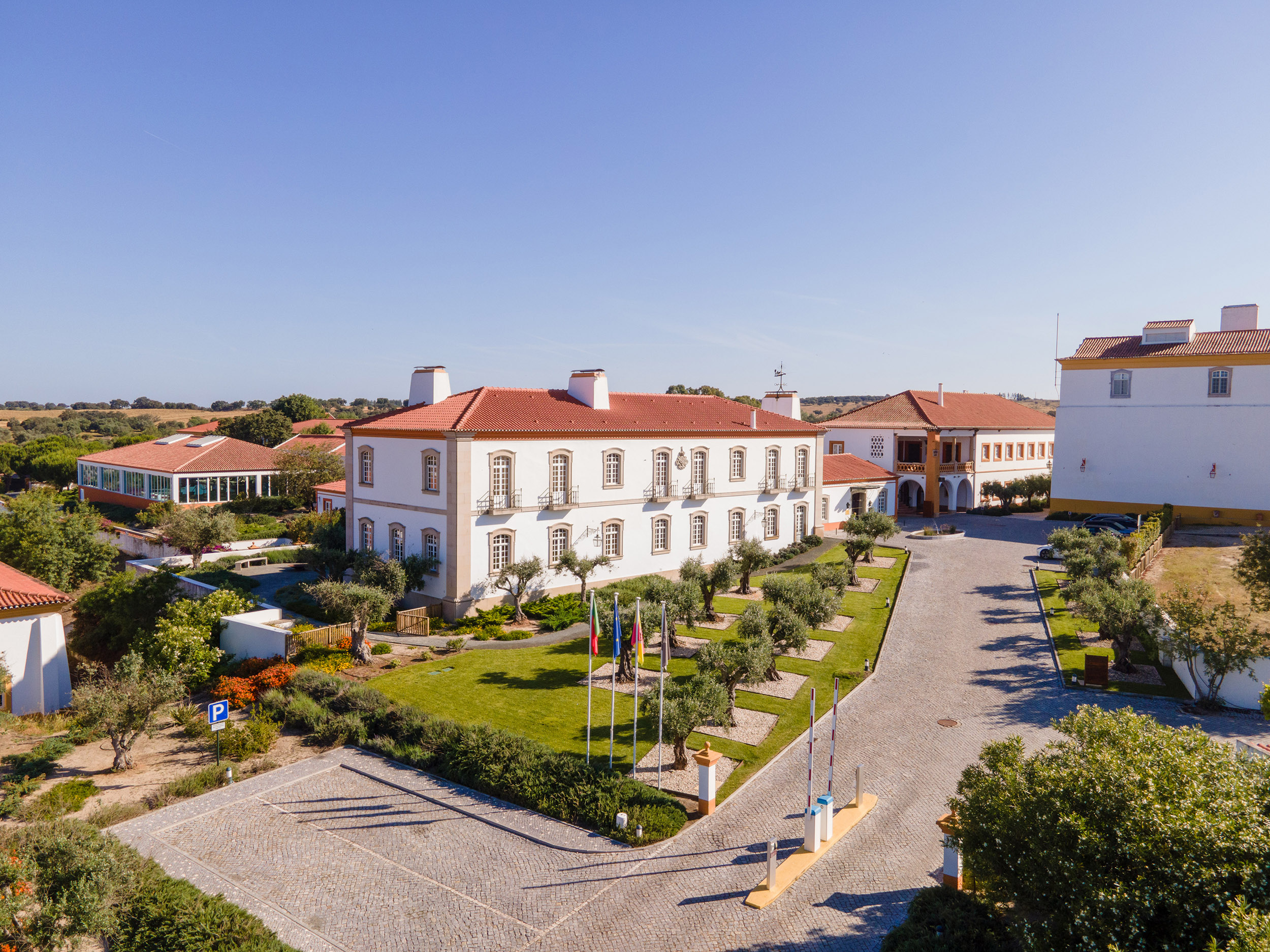 Collection Alter Real